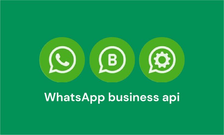 WhatsApp Business API Communication
